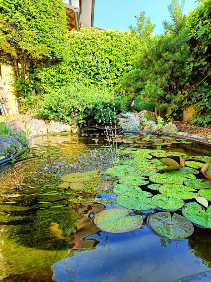 Picnic Room And Pool Кастелнуово дел Гарда Екстериор снимка